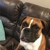 paigebeavers21